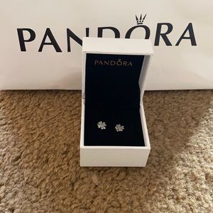 Pandora Earrings never worn!